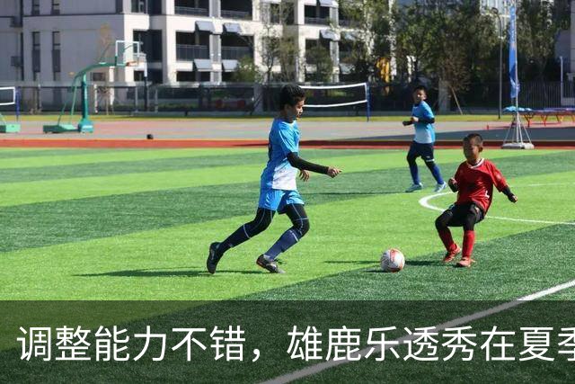 调整能力不错，雄鹿乐透秀在夏季联赛尾声阶段找回了自己的状态？