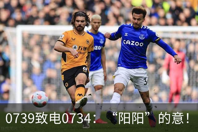 0739致电0734：“阳阳”的意！